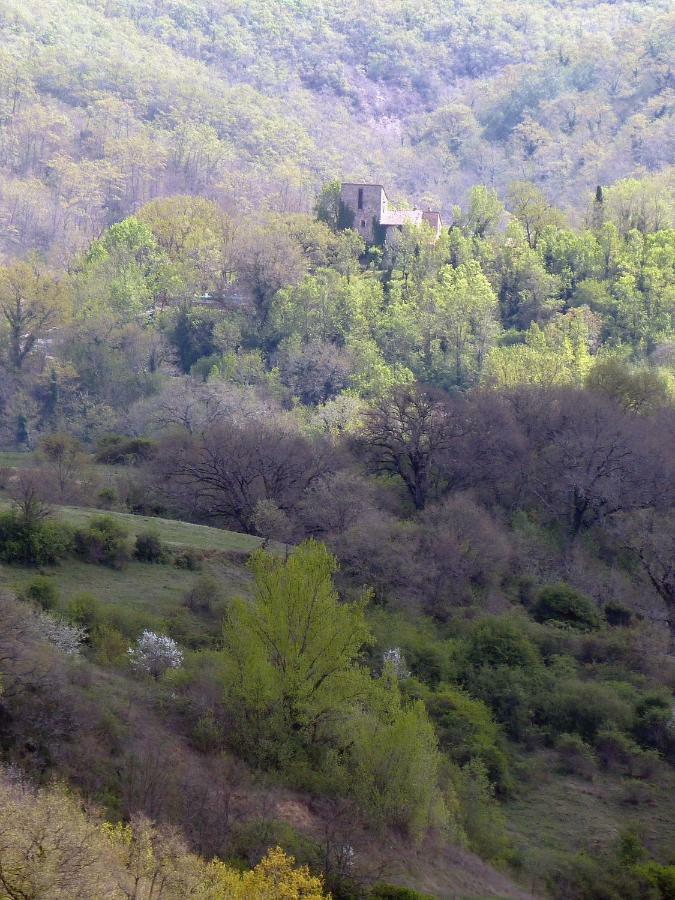 דירות Torre Di Pornello מראה חיצוני תמונה